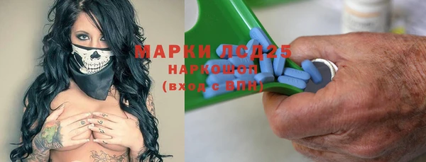 шишки Белоозёрский
