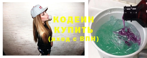 шишки Белоозёрский