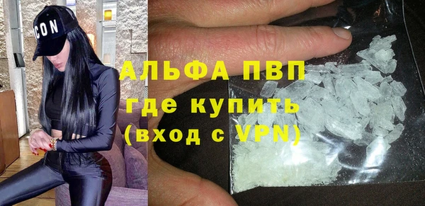 шишки Белоозёрский