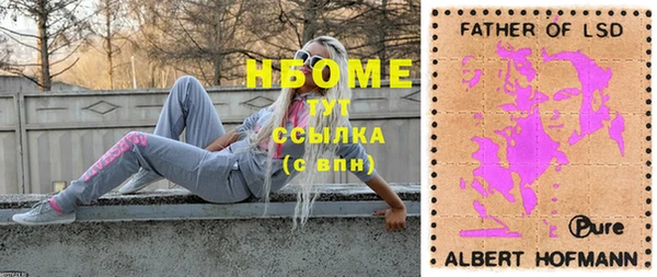 шишки Белоозёрский