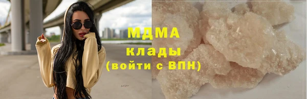шишки Белоозёрский