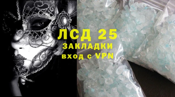шишки Белоозёрский