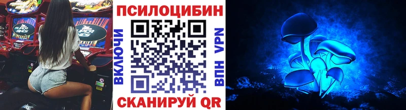 blacksprut ТОР  Маркс  Псилоцибиновые грибы GOLDEN TEACHER 