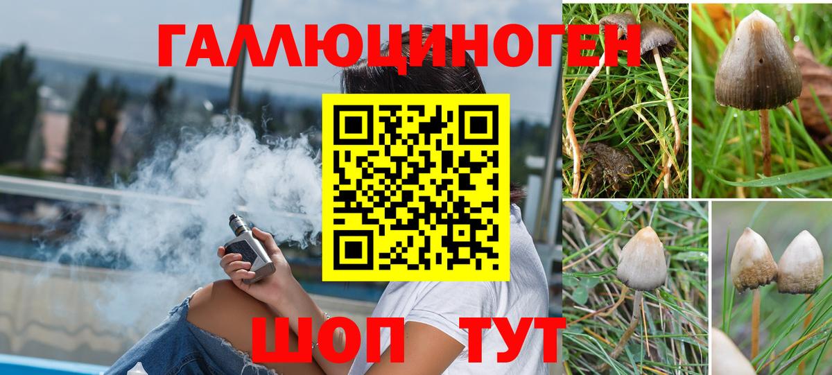 Галлюциногенные грибы Psilocybine cubensis Маркс